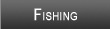 Watauga Lake Fishing